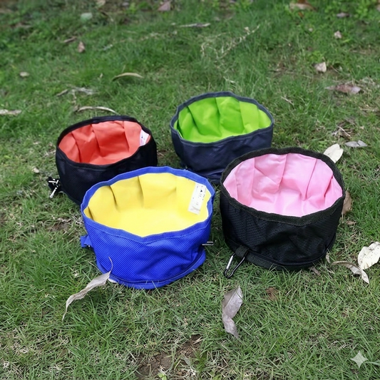 Foldable Hiking Dog Bowl