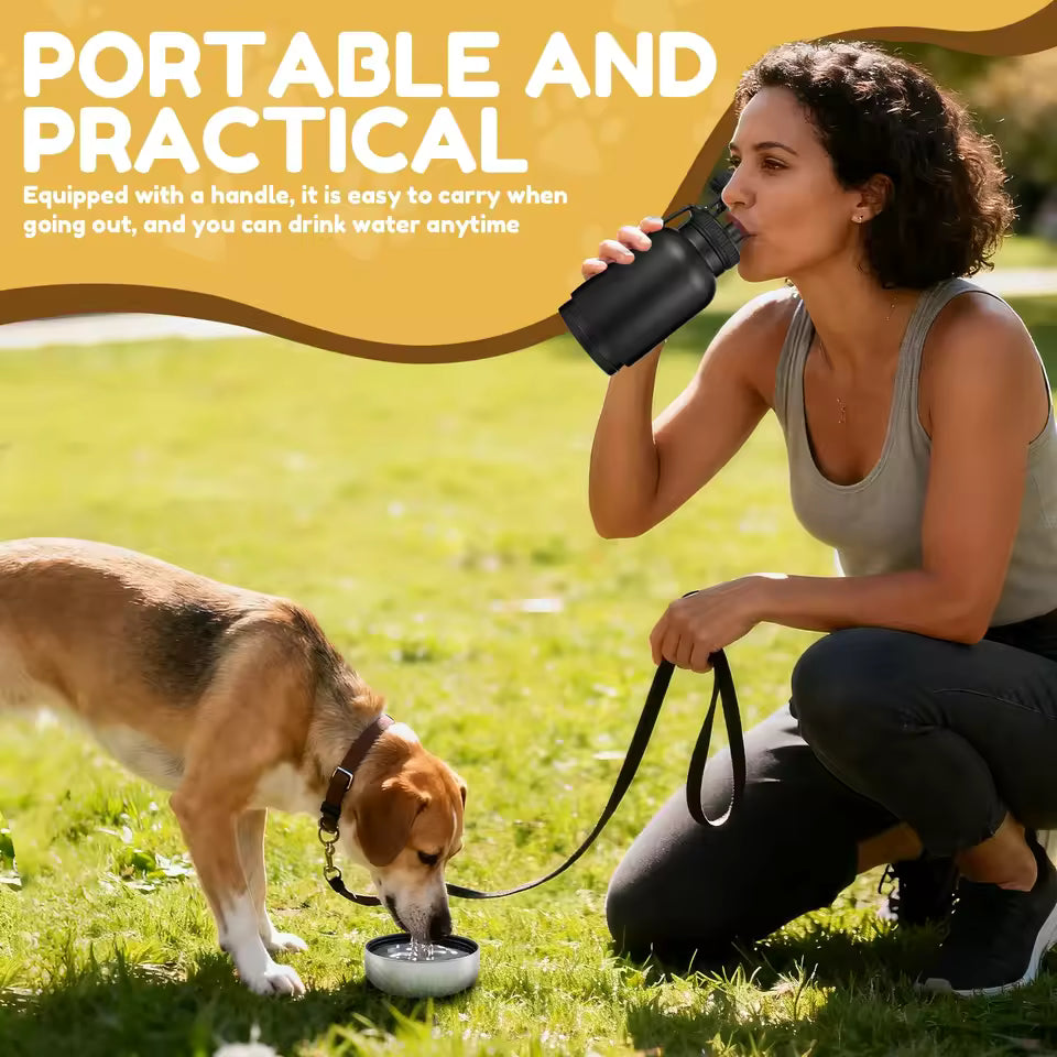 3 in 1 Travel Water bottle