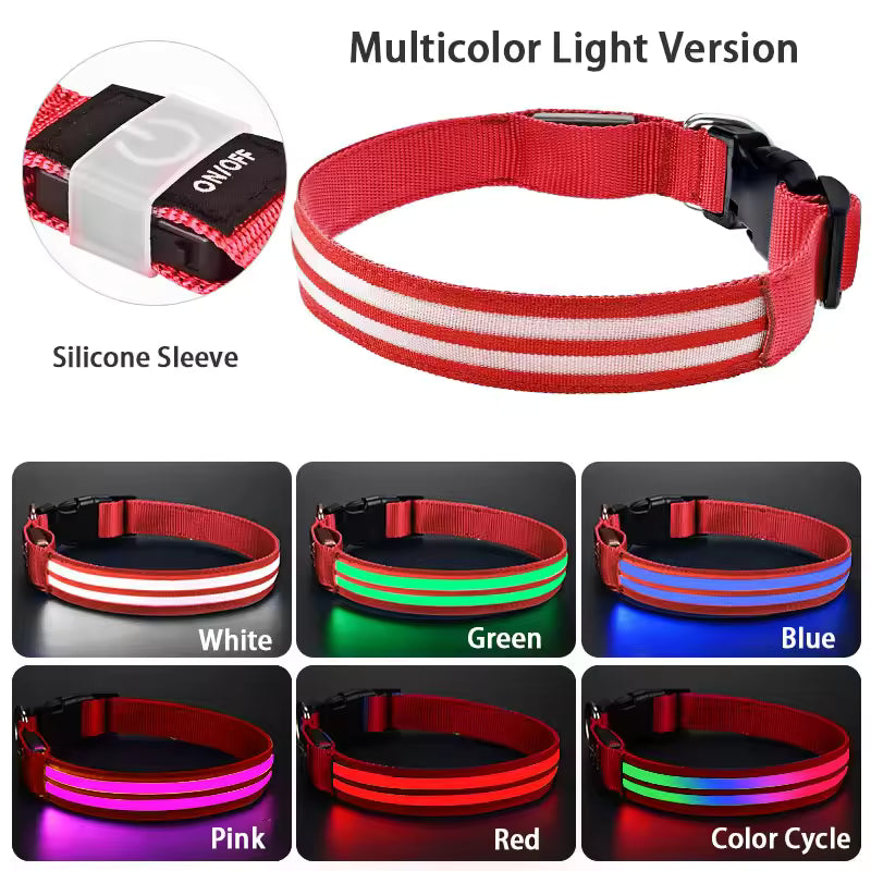 Rechargeable Light Up Dog Collar