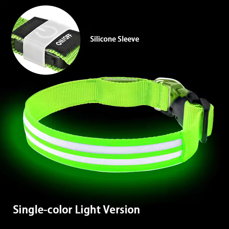 Rechargeable Light Up Dog Collar