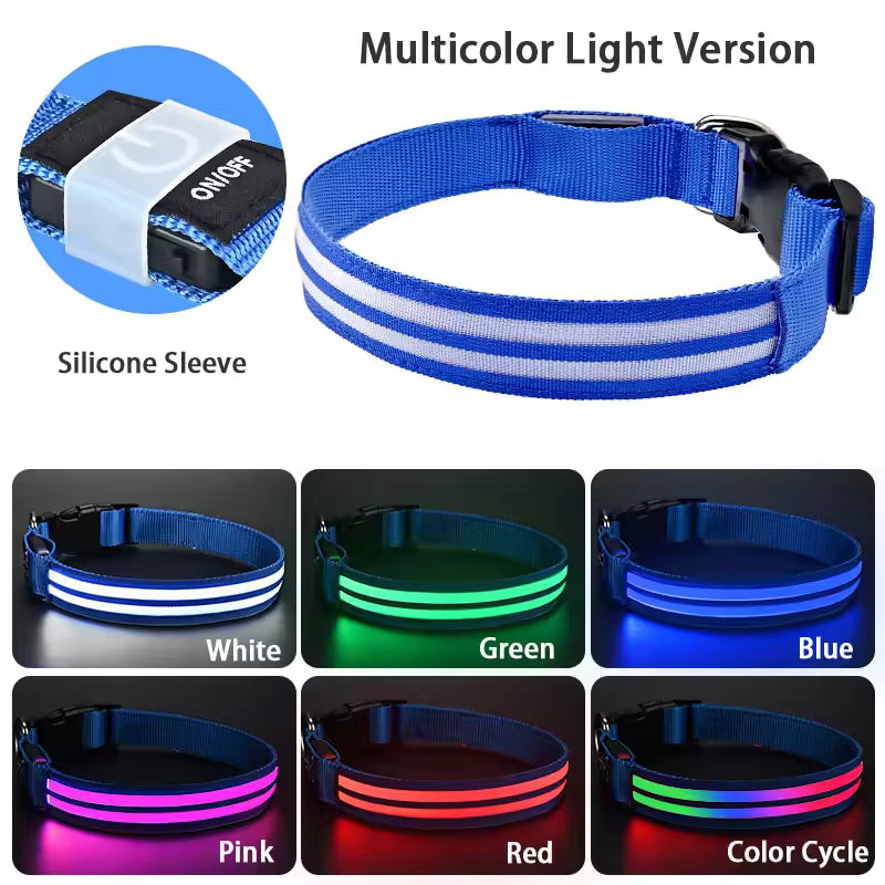 Rechargeable Light Up Dog Collar