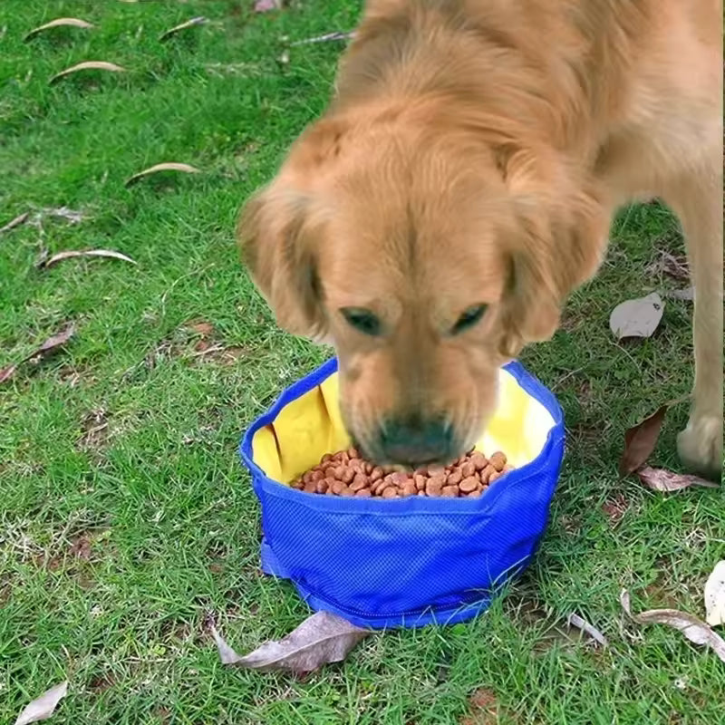 Foldable Hiking Dog Bowl